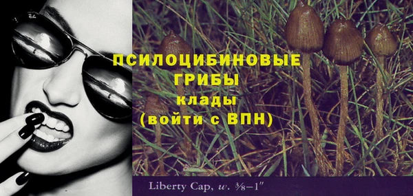 apvp Волоколамск