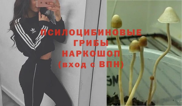 ECSTASY Володарск