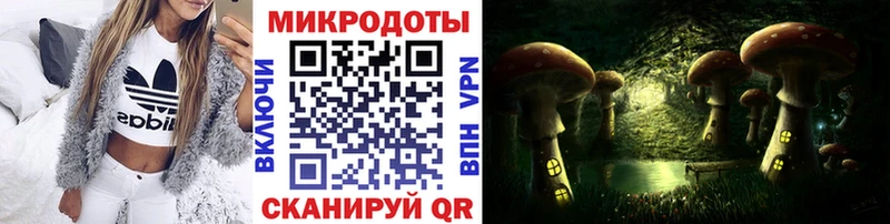 Псилоцибиновые грибы Psilocybe  как найти закладки  Карабаш 